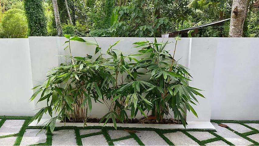 Theeram Guesthouse Thiruvananthapuram Villa